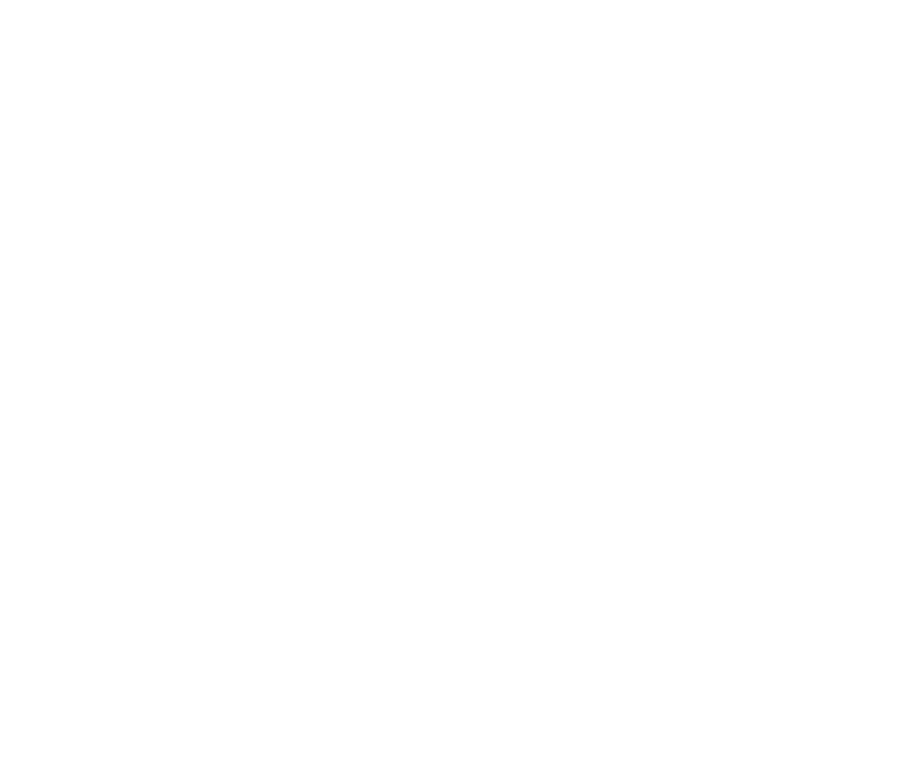 STM-Final-White-Large-text